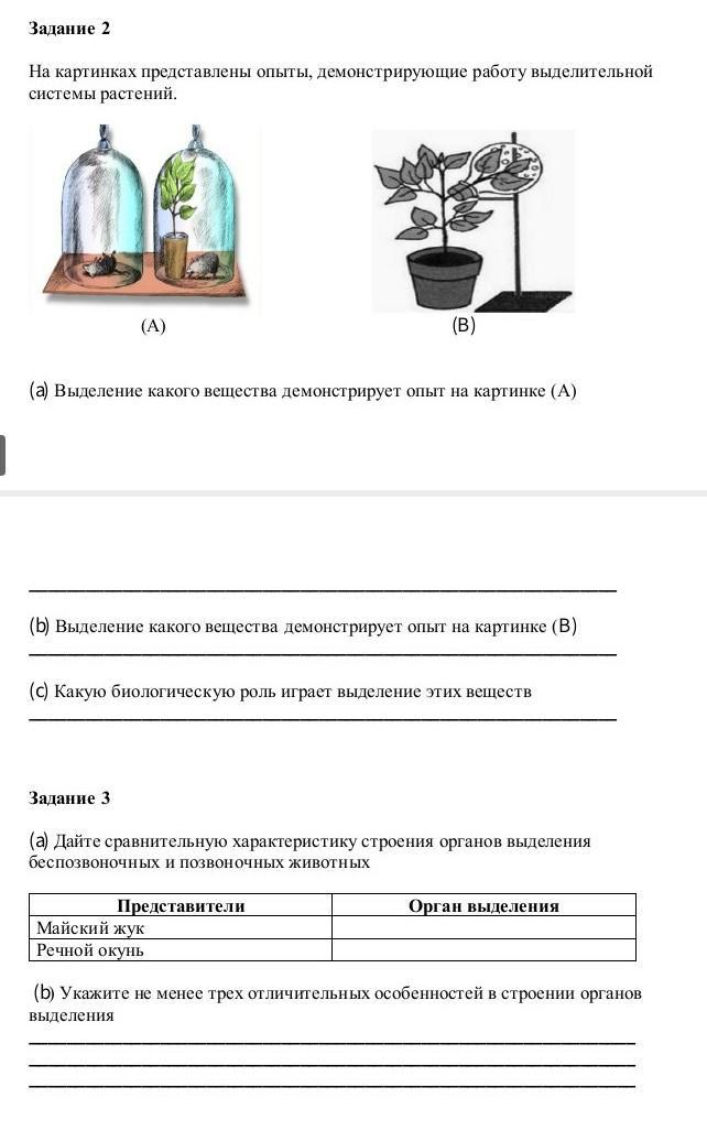 Представим опыты. Какую биологическую роль играет выделение воды растениями.