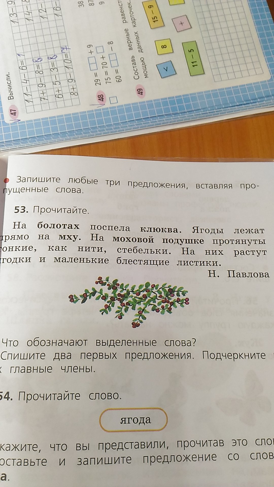 Что обозначают выделенные слова. Чтообозначают виделеные слово. Прочитайте что обозначают выделенные слова. Прочитайте что обозначают слова.