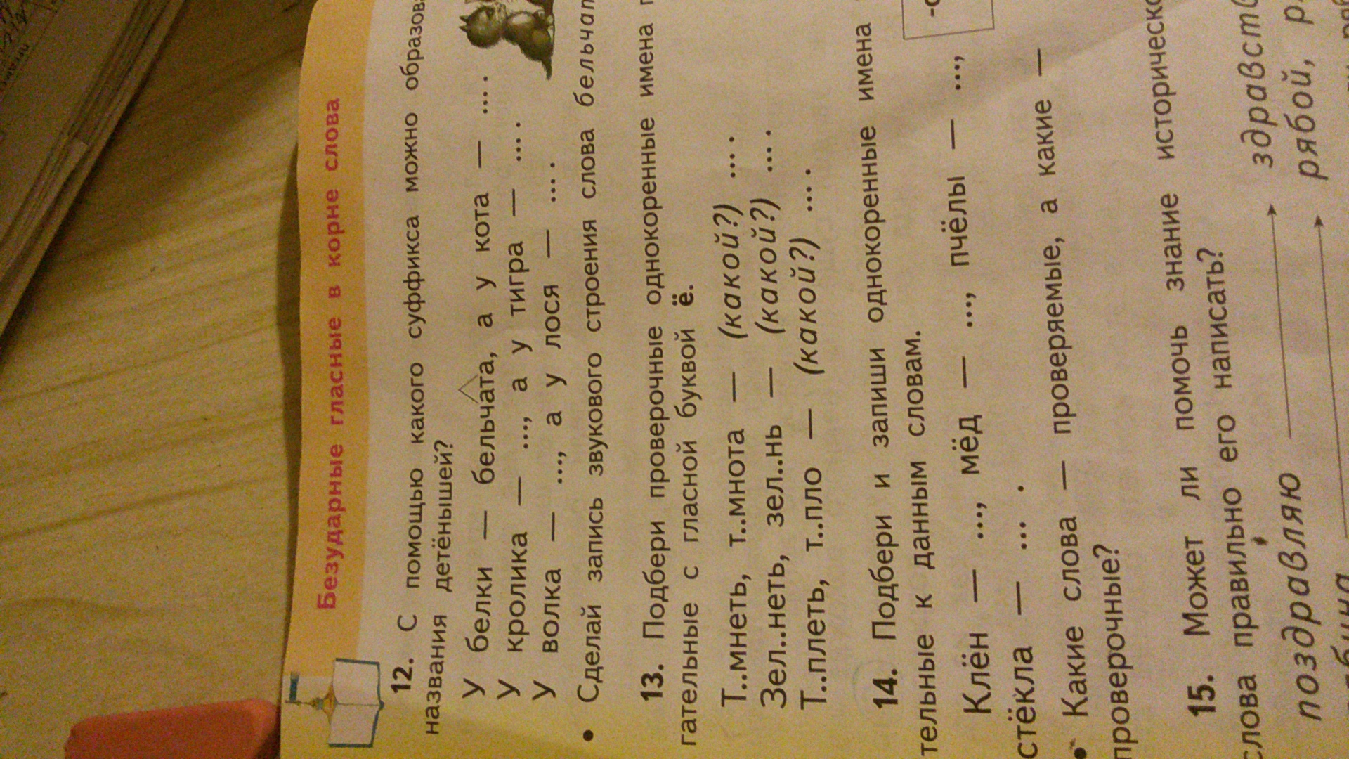 Запись звукового строения слова бельчата. Проект клички животных. Разбор слова белка звуко буквенный разбор. Звуковое строение слова. Фонетический анализ слова белка.