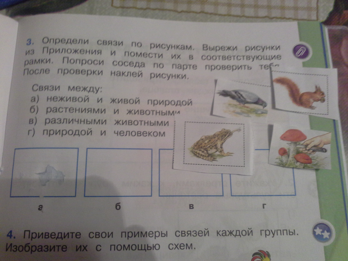 Вырежи из приложения и наклей. Схемы связей каждой группы. Определи связи по рисункам вырежи. Приведите свои примеры связей. Определи по рисункам. Вырежи рисунки из приложения и.