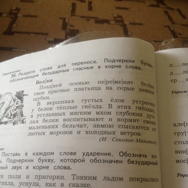 Подчеркни в словах буквы обозначающие безударные. Раздели слова для переноса подчеркни. Раздели слова для переноса подчеркни буквы. Раздели слова для переноса подчеркни буквы безударных гласных. Подчеркни буевы, обозначающие безударные гласную в корне.