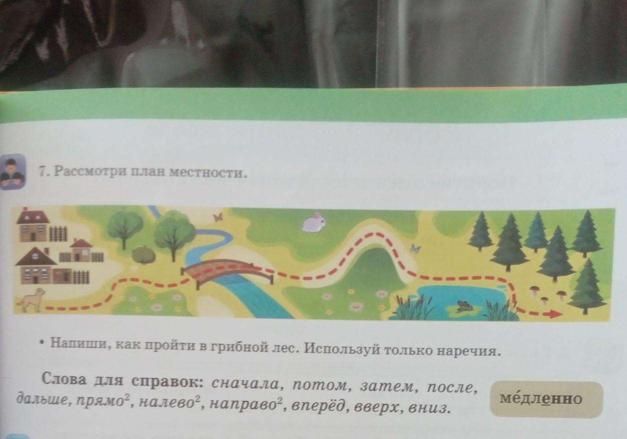 Рассмотри план. Как написать слово местность. Местность как пишется. Прочитайте в грибном лесу одна Полянка другой руку подаёт.