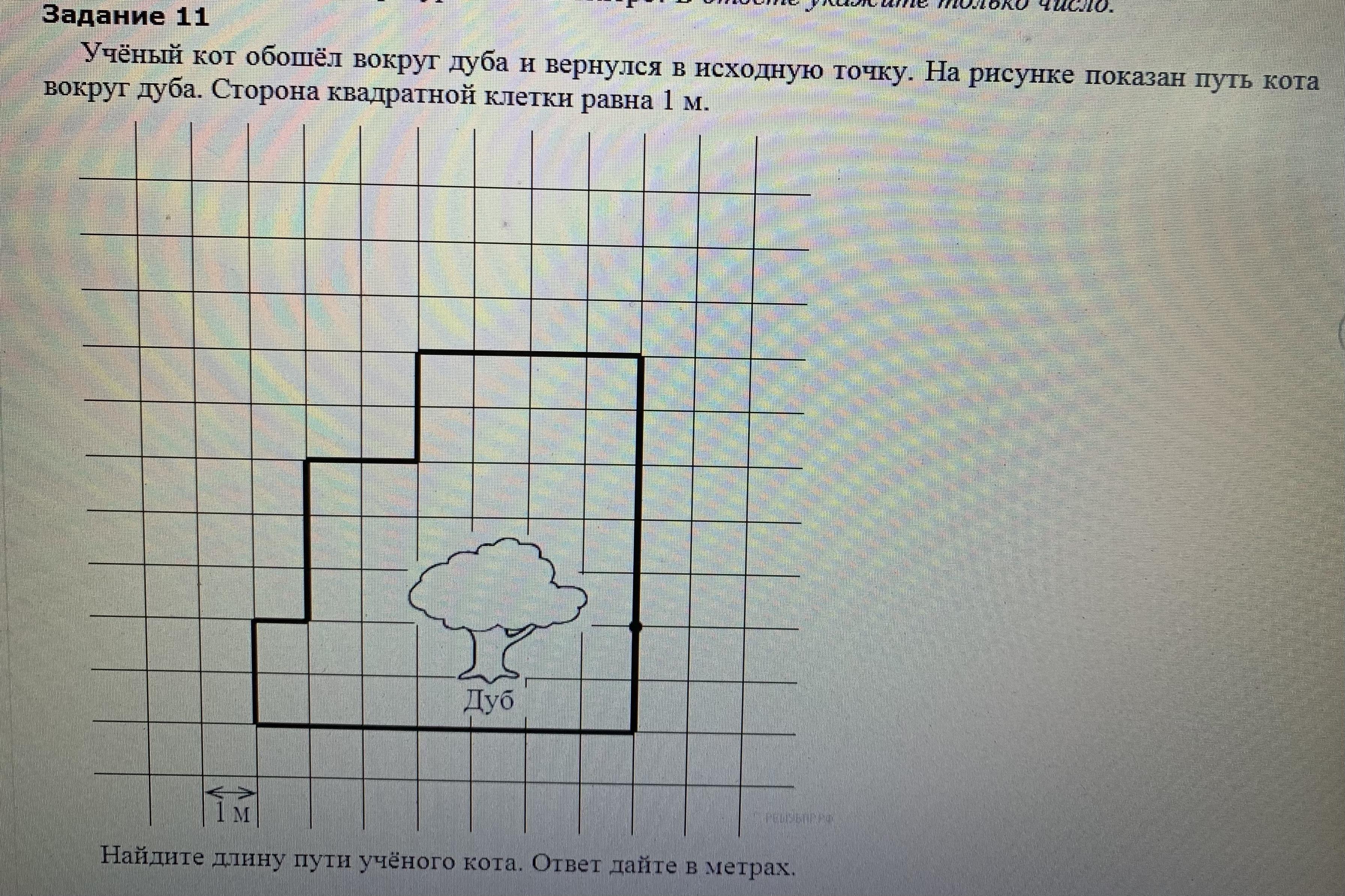 На рисунке показаны дороги. Ученый кот обошел вокруг дуба и вернулся в исходную точку. Учёный кот обошёл вокруг дуба и вернулся в исходную точку на рисунке. Ученый кот обошел вокруг. Рисунки в клетку легкие.