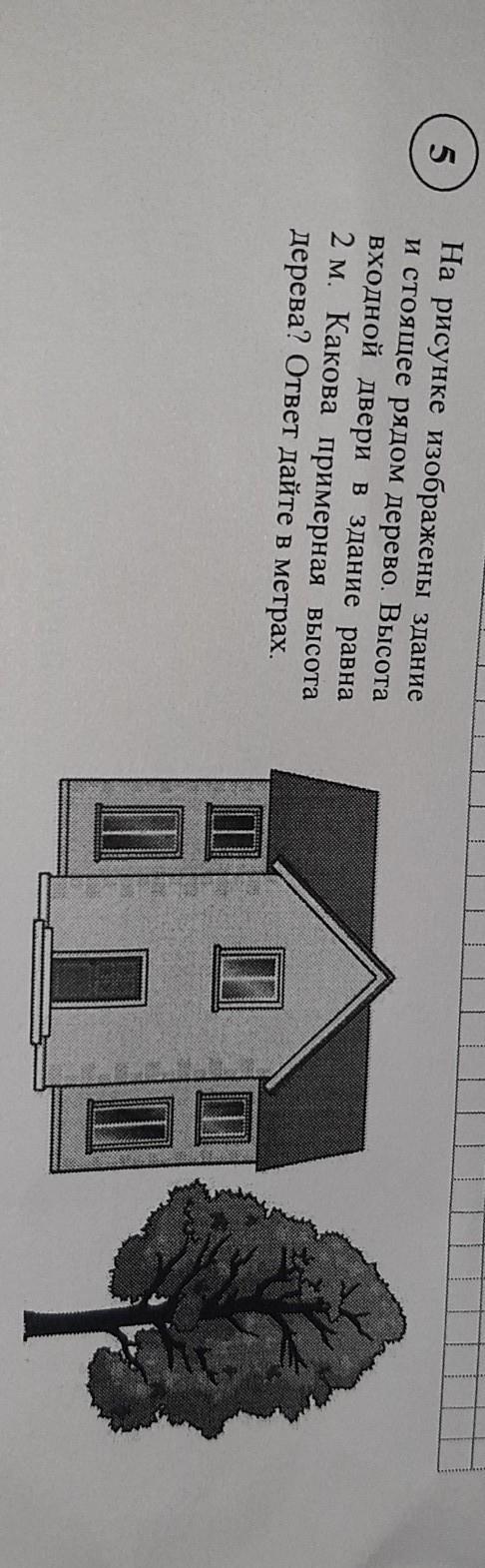 На рисунке изображены здание и стоящее рядом дерево высота входной двери в здание равна 2