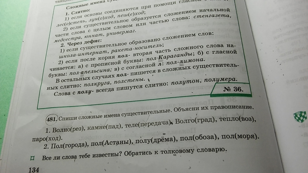 Русский язык шестой класс упражнение 481