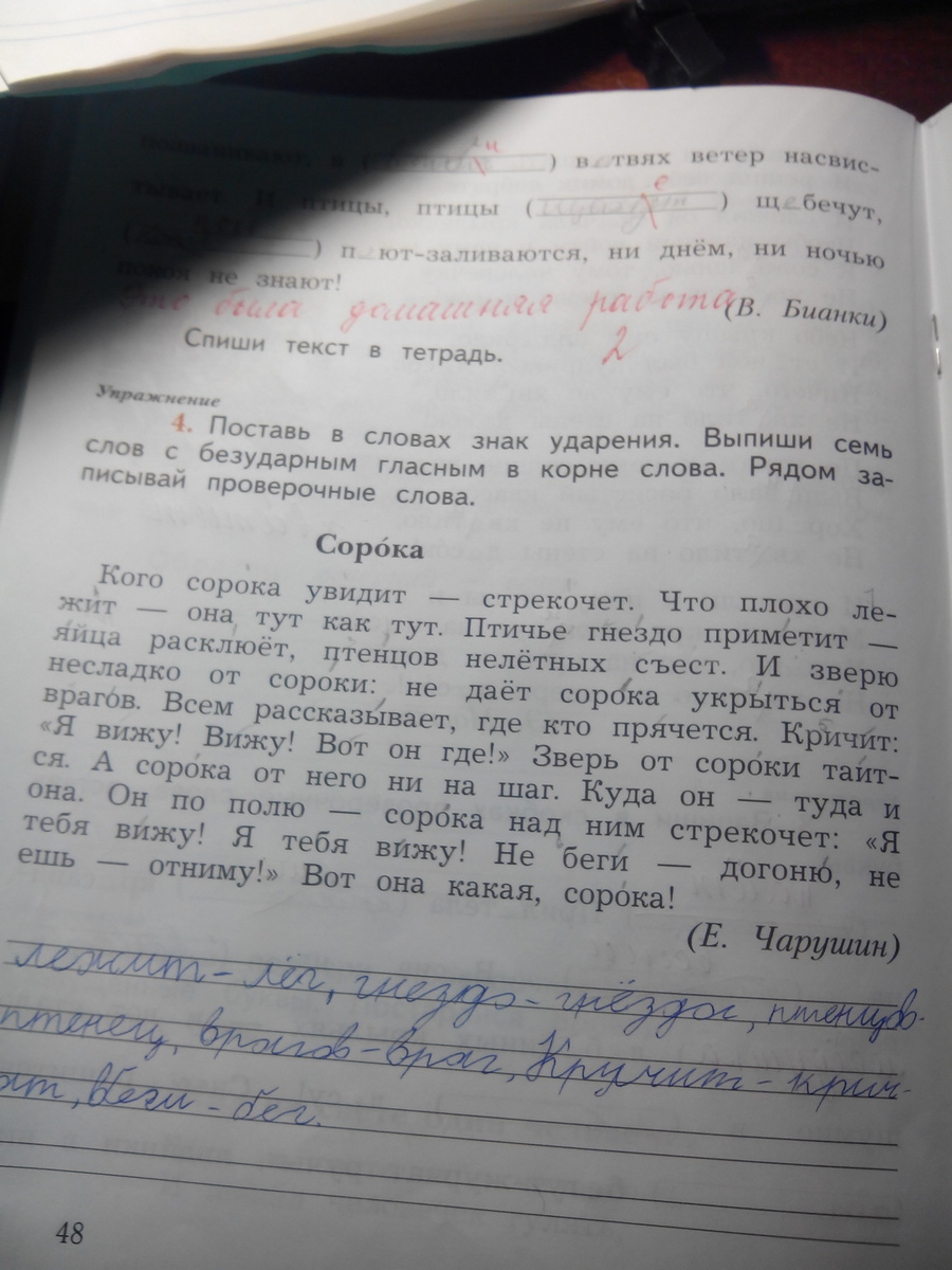 Запиши 7 слов. Поставь в словах знак. Поставь в словах знак ударения выпиши семь слов с безударным гласным. Поставь в словах знак ударения выпиши семь. Вставь. В. словах знак. Ударения. Подчеркни.