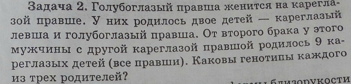 От брака голубоглазого. Голубоглазый правша женился на кареглазой. Голубоглазый правша. Кареглазый правша женился на голубоглазой Левше. Кареглазая правша выходит замуж за голубоглазого ЛЕВШУ У них.