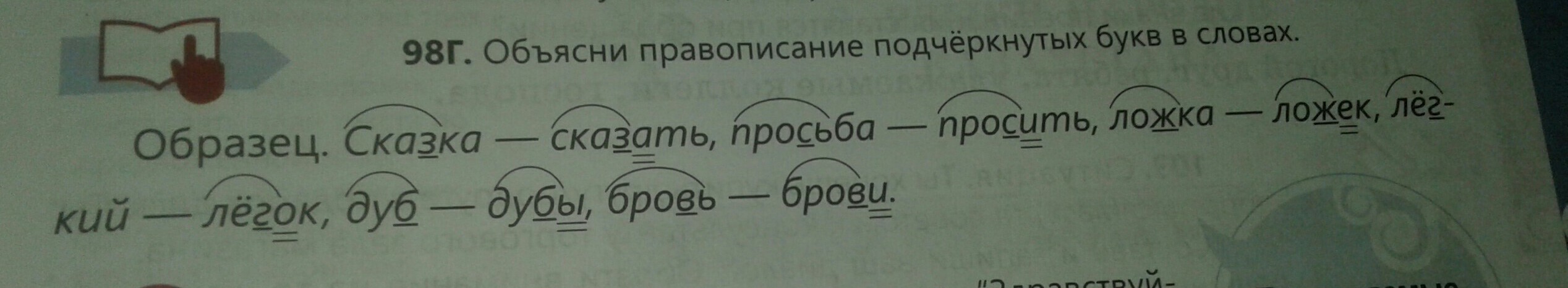 Объясните написание букв в словах