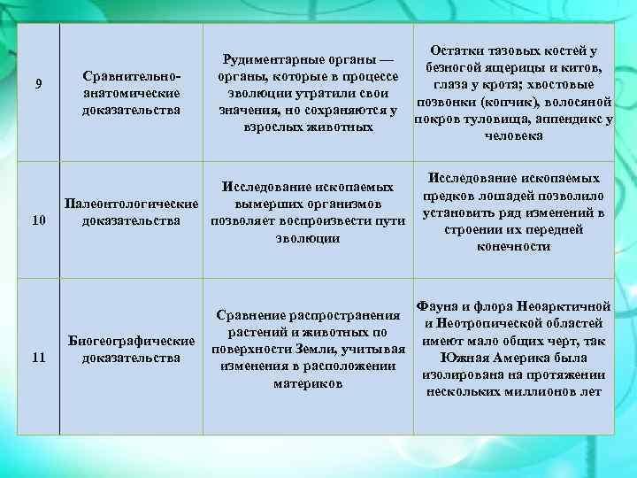 Изменчивость в эволюции. Факторы эволюции борьба за существование. Роль изменчивости в эволюции. Борьба за существование роль в эволюционном процессе. Вывод о роли изменчивости в эволюционном процессе.