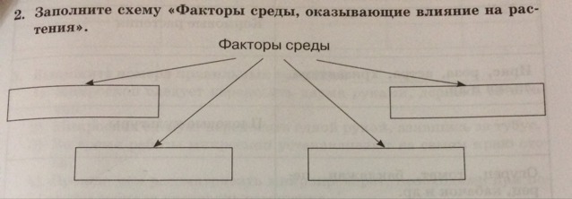 С кем пришлось общаться скрипу заполните. Заполните схему. Заполните схему факторы среды оказывающие влияние на растения. Заполните схему «факторы, влияющие на политический режим».. Факторы производства схема.