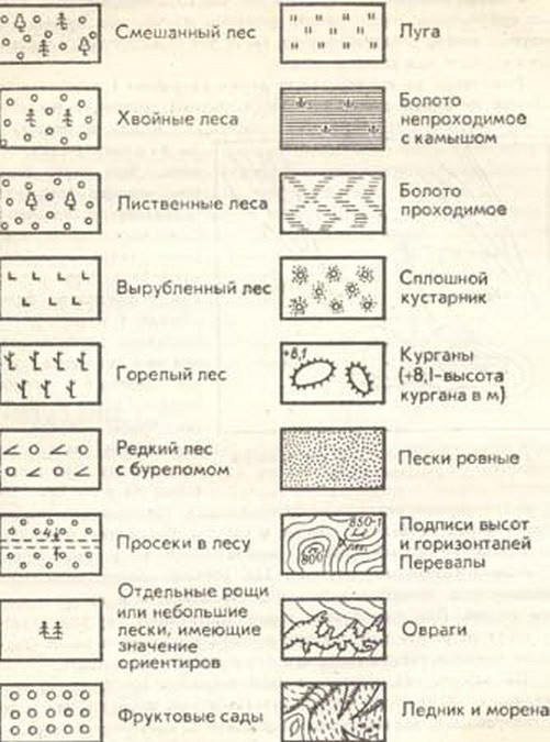 Как обозначается лес на плане местности