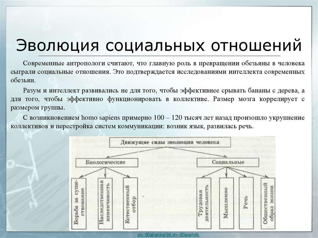 Составьте схему эволюции орудий труда речи и общественных отношений