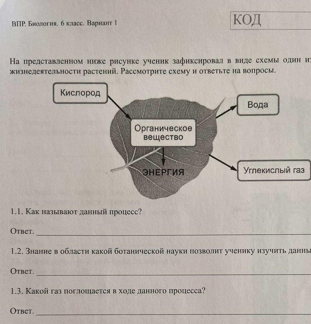 На представленном ниже рисунке ученик зафиксировал в виде схемы ответы впр по биологии