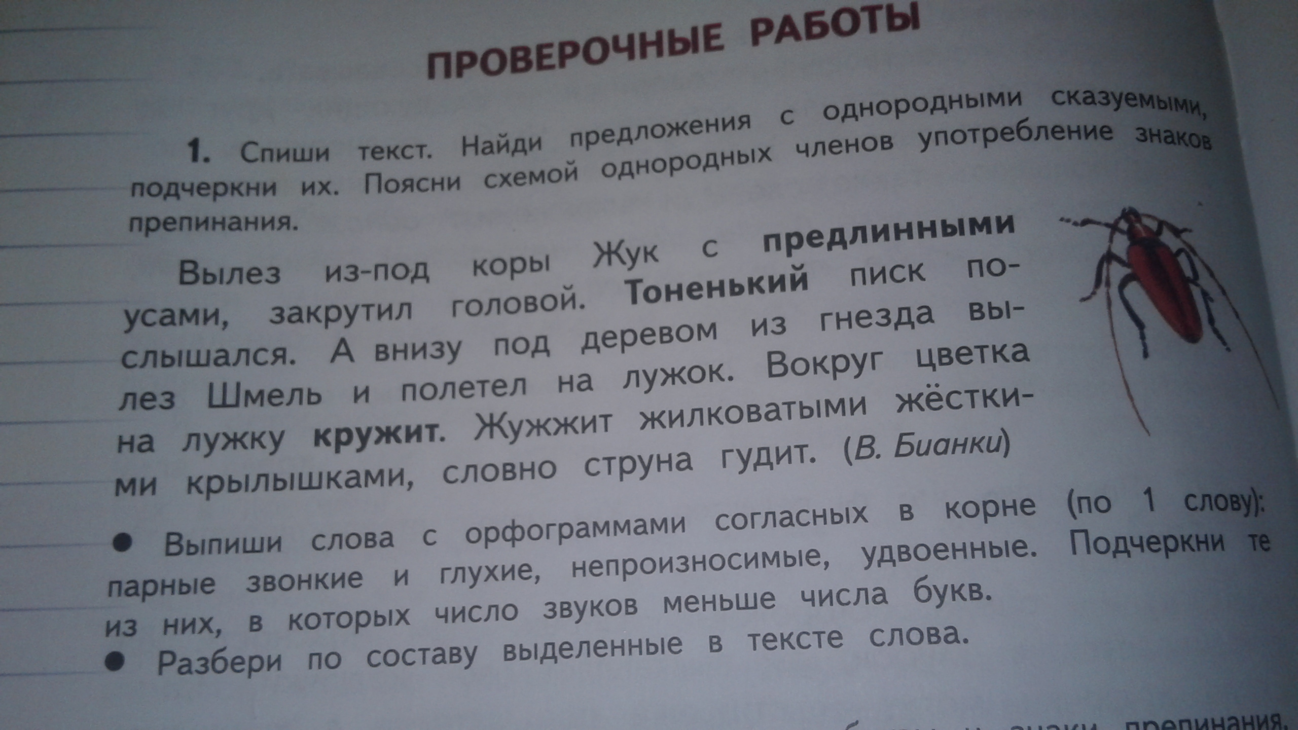 Прочитайте подчеркните волнистой линией слова имена прилагательные