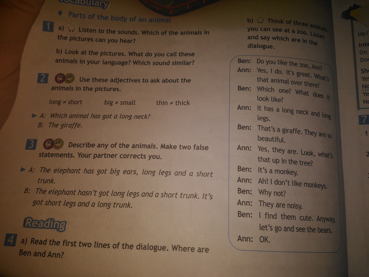 Your partner corrects you. Describe any of the animals make two false Statements your partner corrects you. Look at the picture. Make wrong Statements. Your partner corrects you.. Mon Bazou перевод заданий.