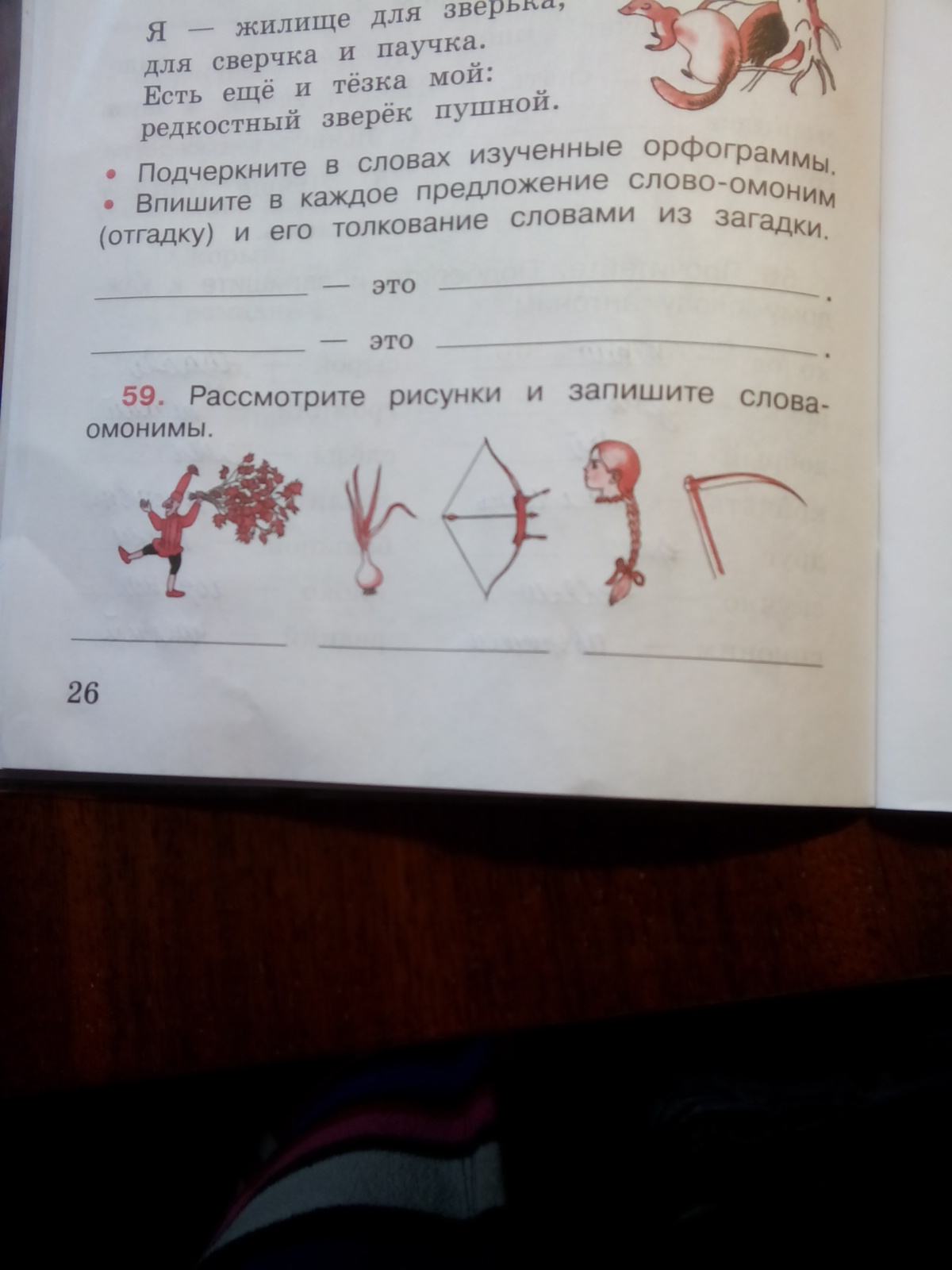 загадка я жилище для зверька