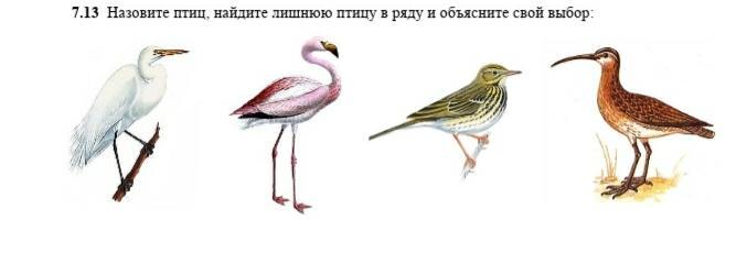 как зовут птиц. будем называть птиц. найдите лишнюю птицу в ряду и объясните свой выбор. будем называть птиц. какие птицы называются перелетными.