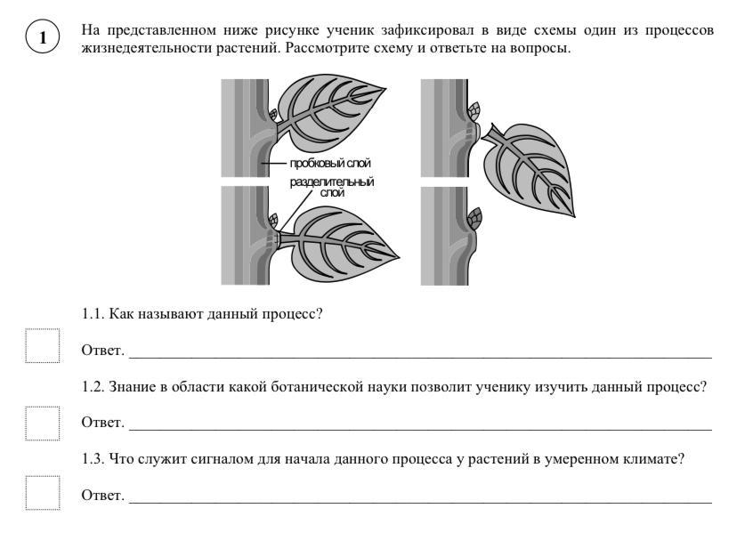 Рассмотри рисунок и ответь на вопрос что на рисунке обозначено цифрой 1