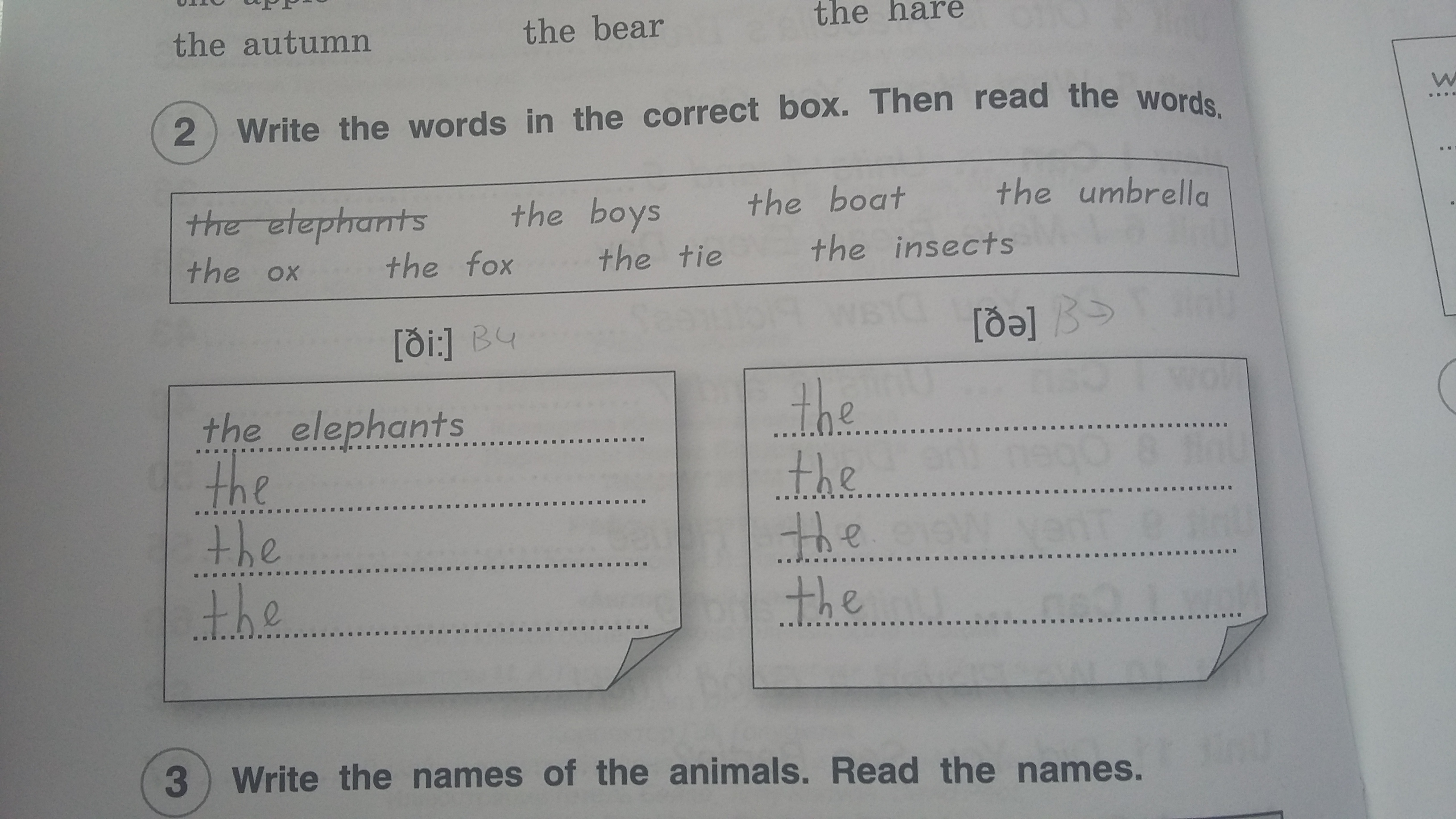 Write the words in correct box