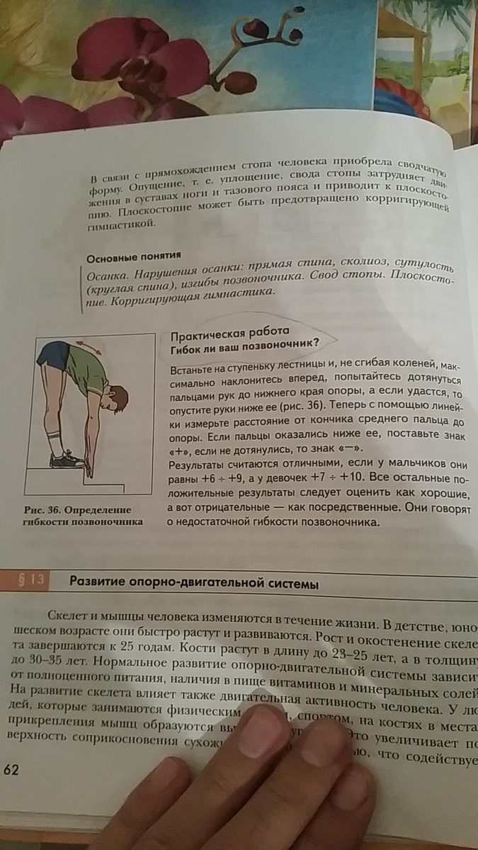 Практическая работа по биологии гибок ли ваш позвоночник. Практическая работа тема гибок ли ваш позвоночник. Практическая работа гибок ли ваш позвоночник. Практическая работа тема гибок ли ваш позвоночник. Оценка уровня гибкости позвоночника.