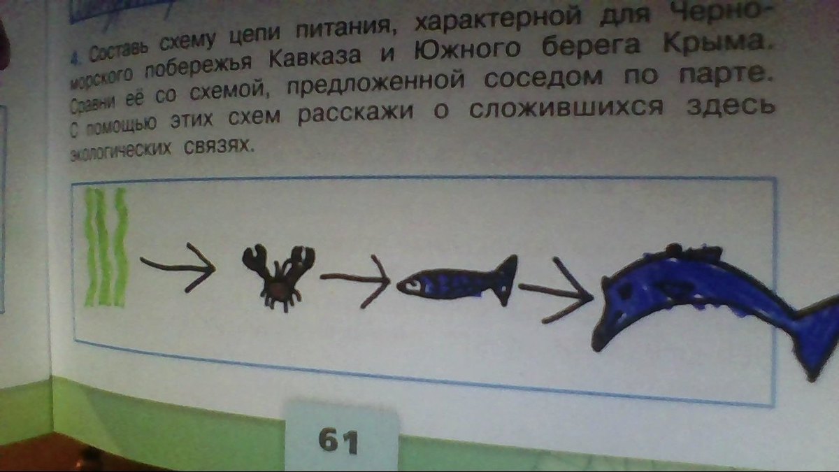 На рисунке 41 изображен план местности антон сергеевич живет в деревне котенково