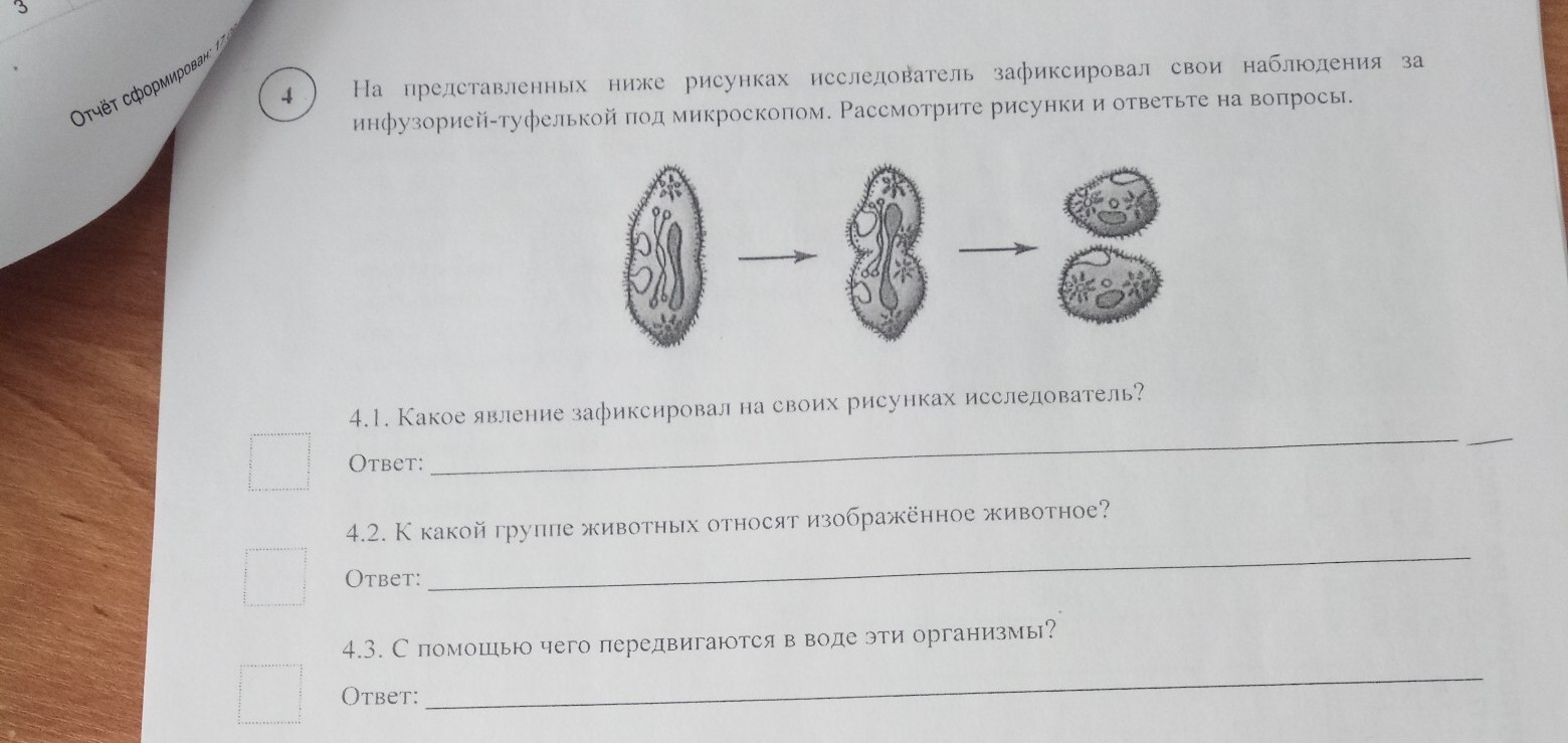 Рассмотрите рисунок 11 и ответьте на вопросы