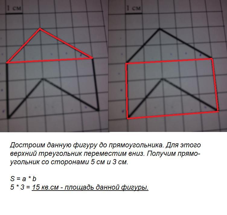 Сторона клетки равна 1