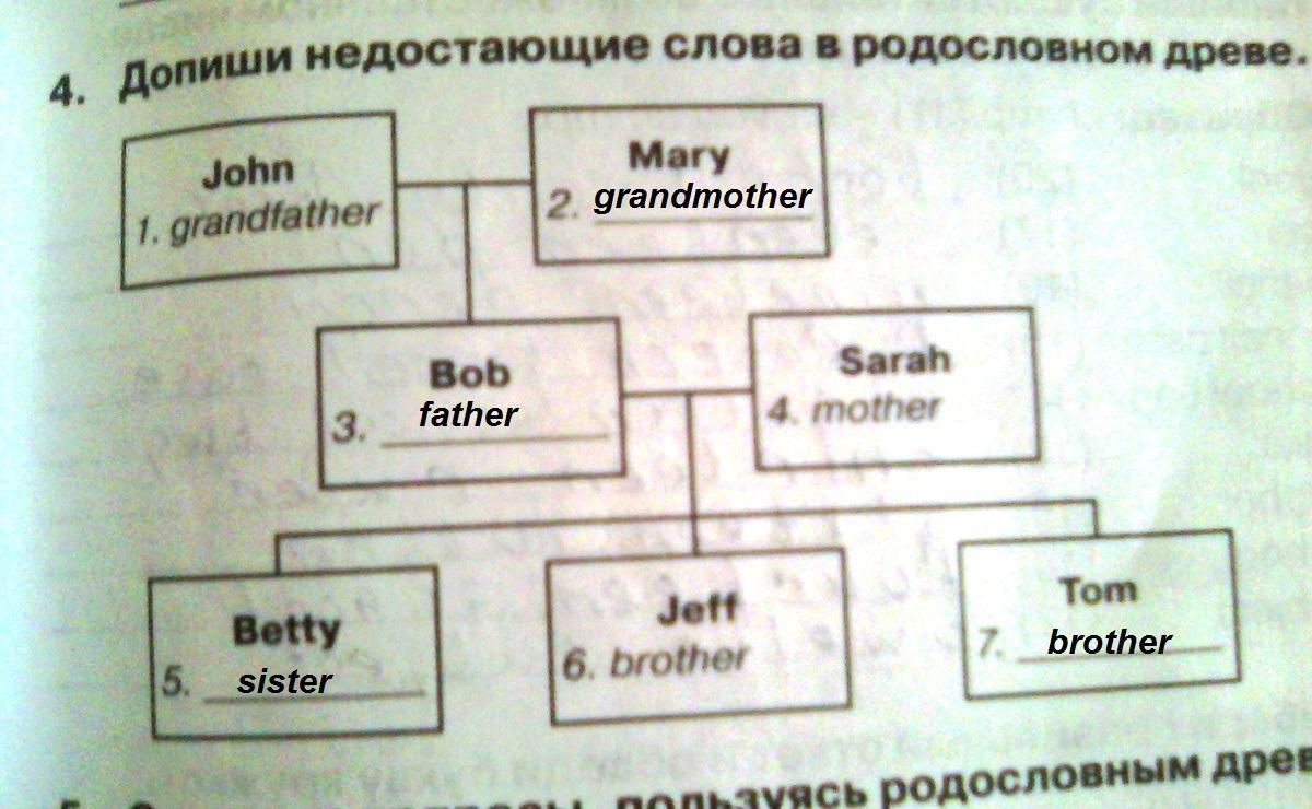 Допиши основные понятия. Укажите недостающее понятие человек мозг компьютер. Основные внутренние органы дописать недостающие. Генеалогическое дерево Сталина. Родословная книга листы.