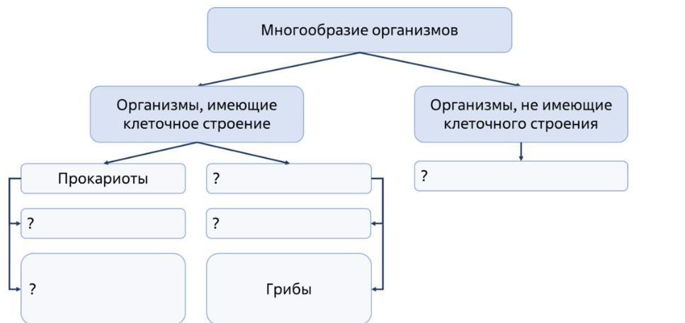 Многообразие организмов