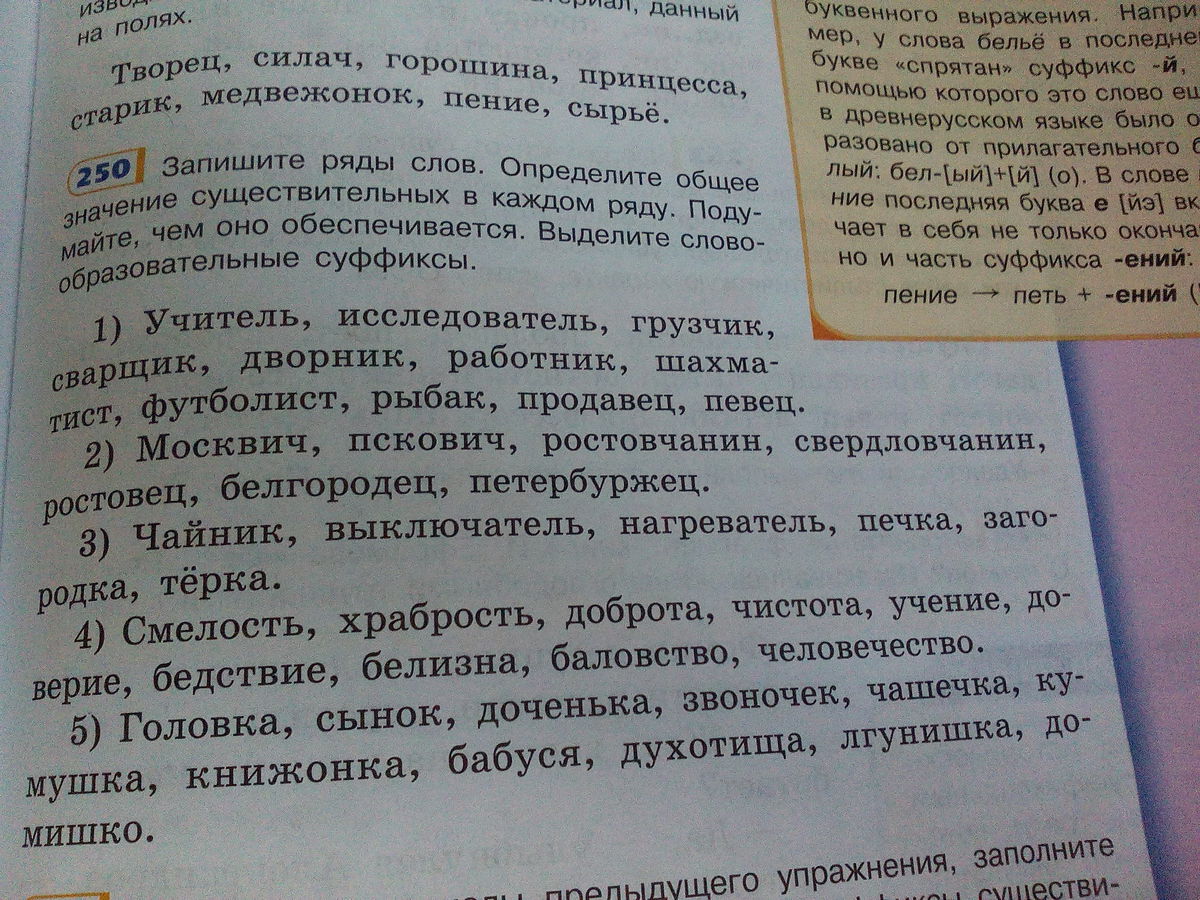 Русский язык 4 класс учебник упр 250. Суффикс в слове смелость. Суффикс в слове храбрость. Смелость суффикс выделите. Суффикс в слове ростовчанин.