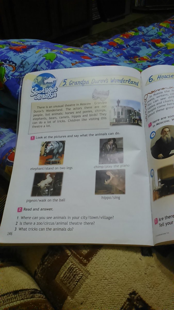 Цирк перевод на английский. What animals can you see in the Circus. What animals can you see in the Circus перевод ответ на вопрос. There is an unusual Theatre in Moscow. There is an unusual Theatre перевод.