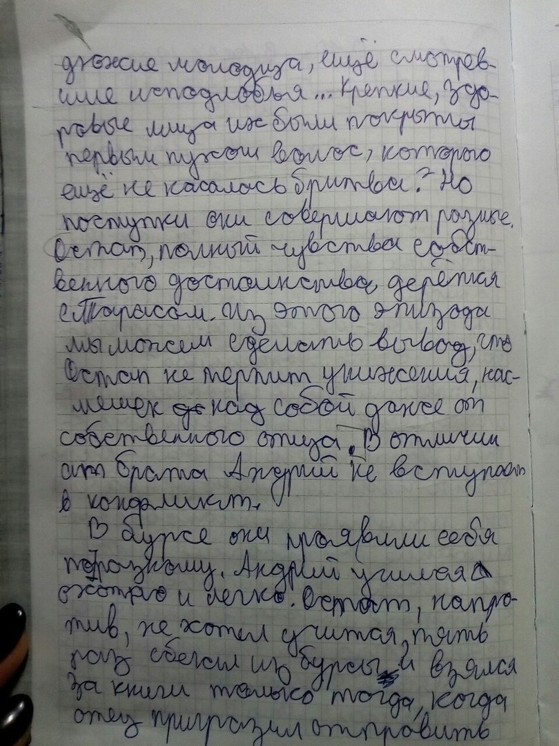 Андрий сочинение 7 класс. Сочинение Остап и Андрий. Сочинение про Андрия. Сочинение Тарас Бульба Остап и Андрий. Сочинение на тему Остап и Андрий.