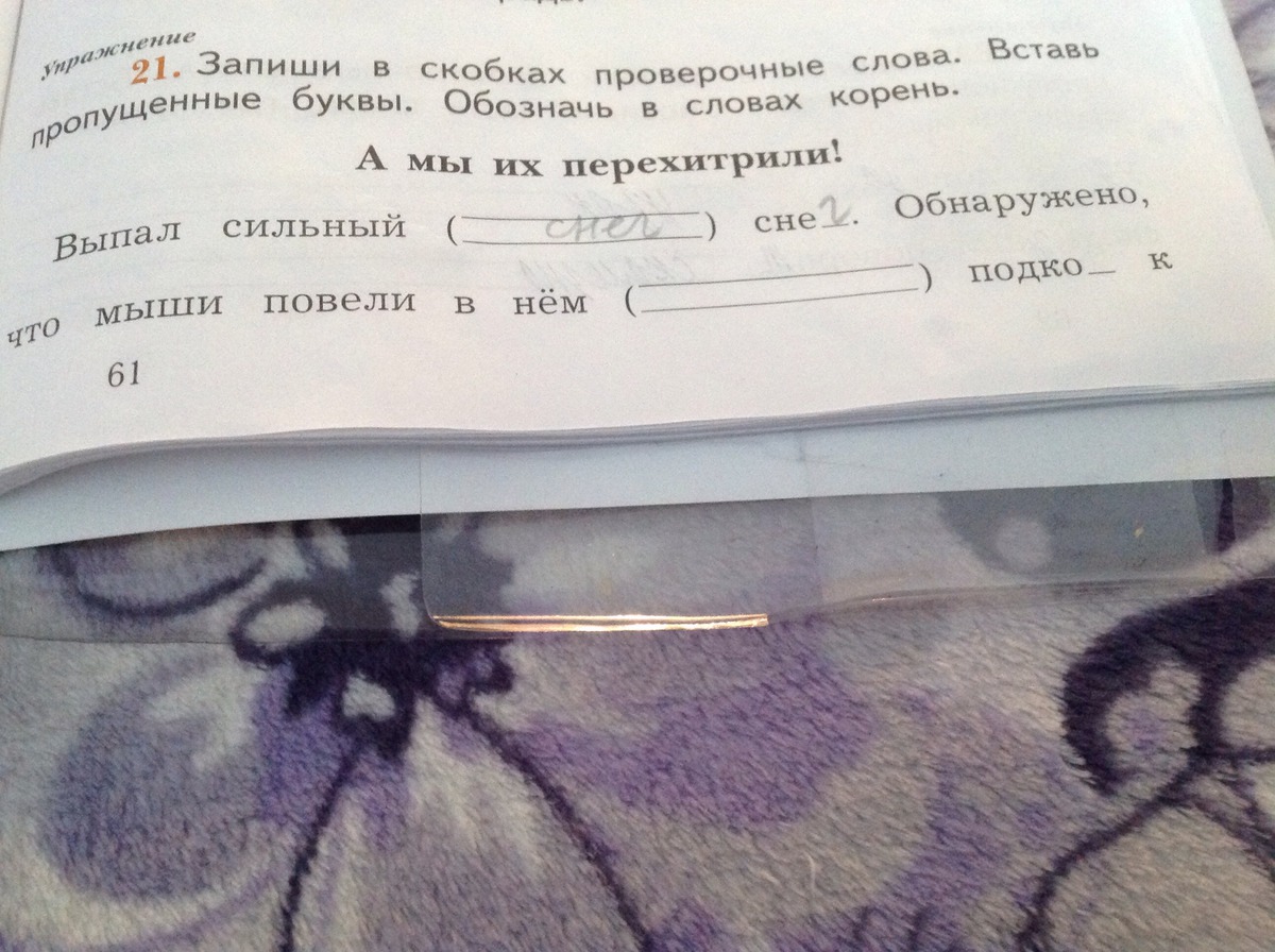 Саша любит ловить рыбу найди в тексте и запиши по два слова к каждой схеме