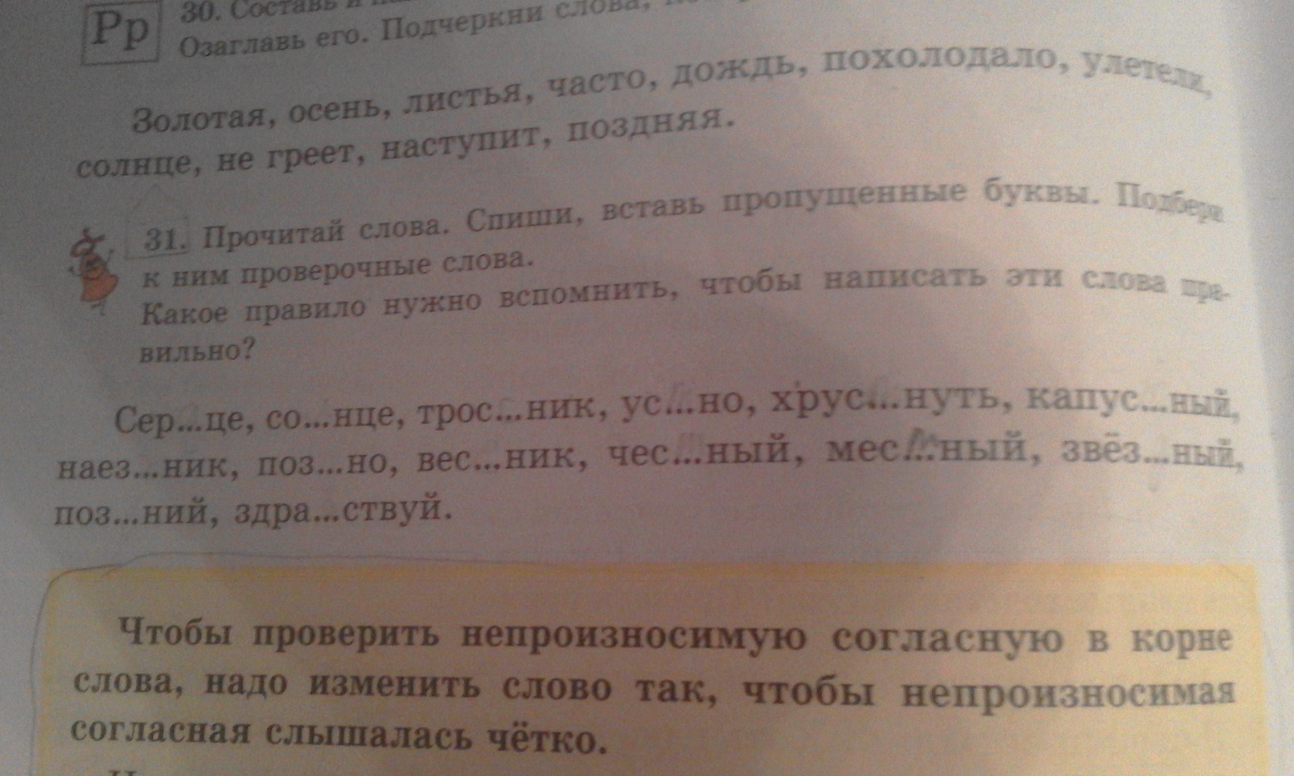 Проверочное слово к слову гнездо. Проверочное слово к слову солнце. Проверочное слово к слову школьник. Проверочное слово к слову книжка. Проверочное слово к слову слова 2 класс.