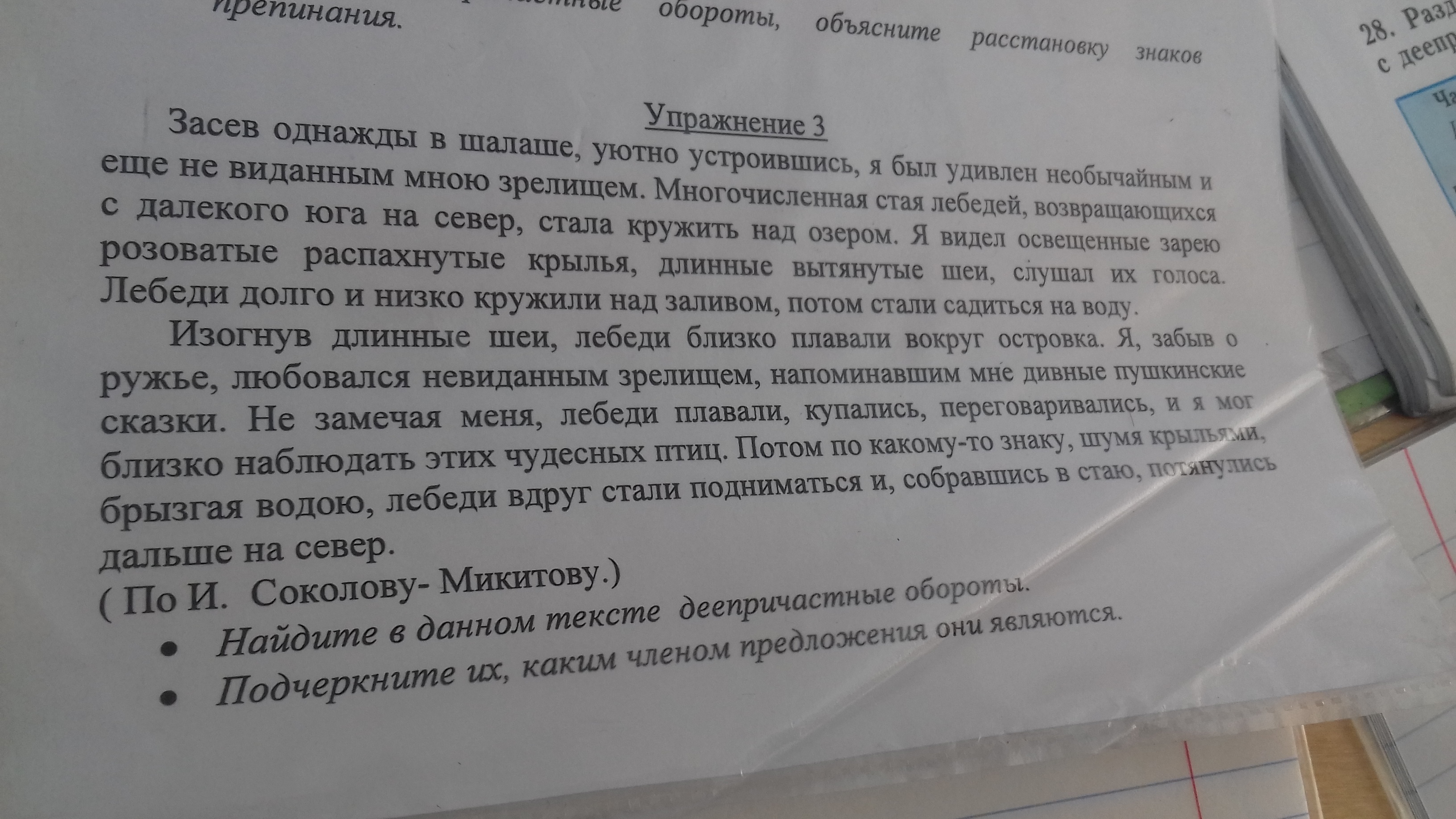 Засев Однажды в шалаше и уютно устроившись я был …