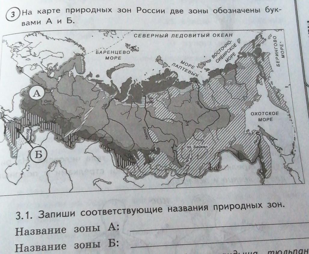 На карте стрелками обозначены природные зоны. Карта России черно белая природные зоны. Природные зоны Росси чернобелая карта. Название природных зон России. Карта природных зон Росси.