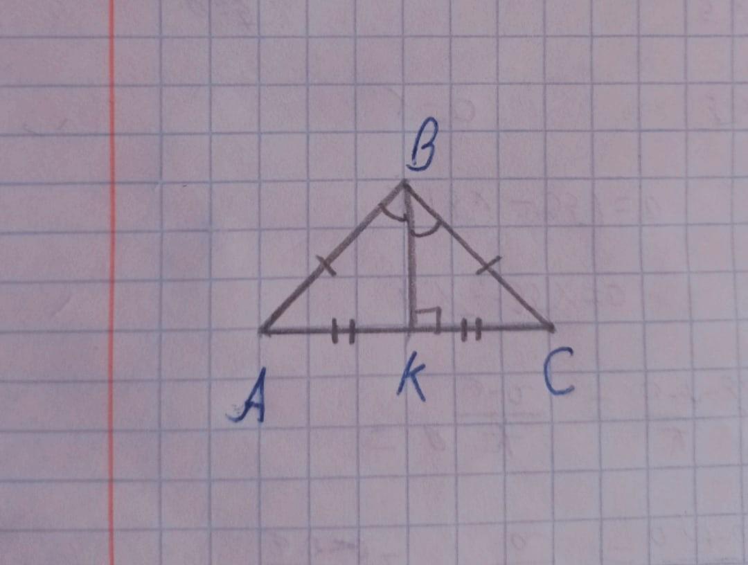 24 24 см ас