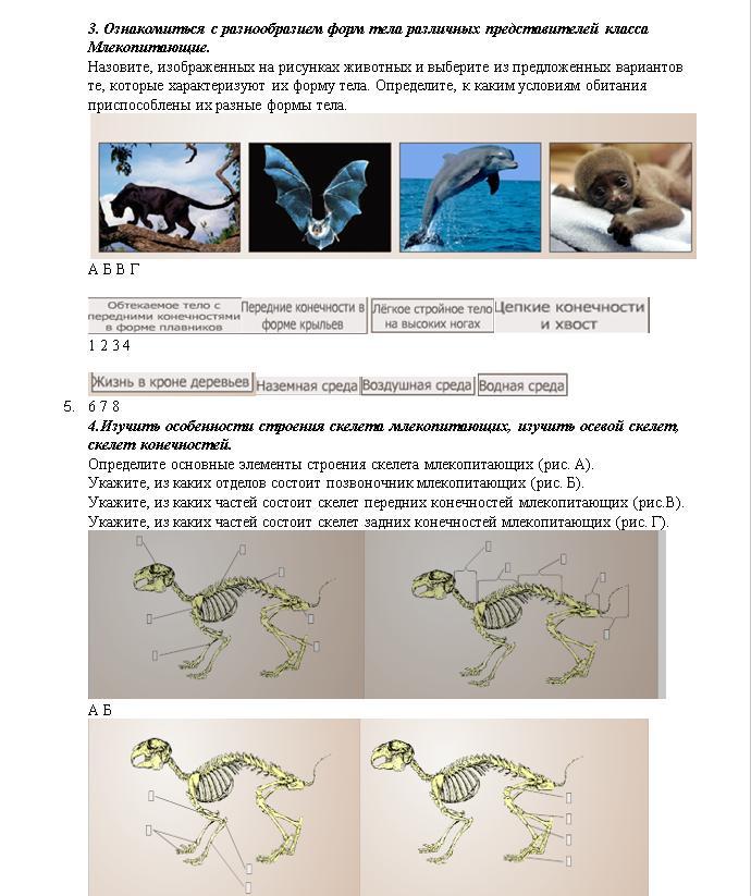 По какому морфологическому признаку изображенное на рисунке животное относится к млекопитающим