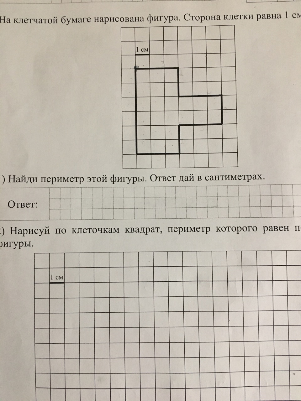 Ответы на вопросы по рисунку с изображением ломаной линии на клетчатом поле с заданными размерами