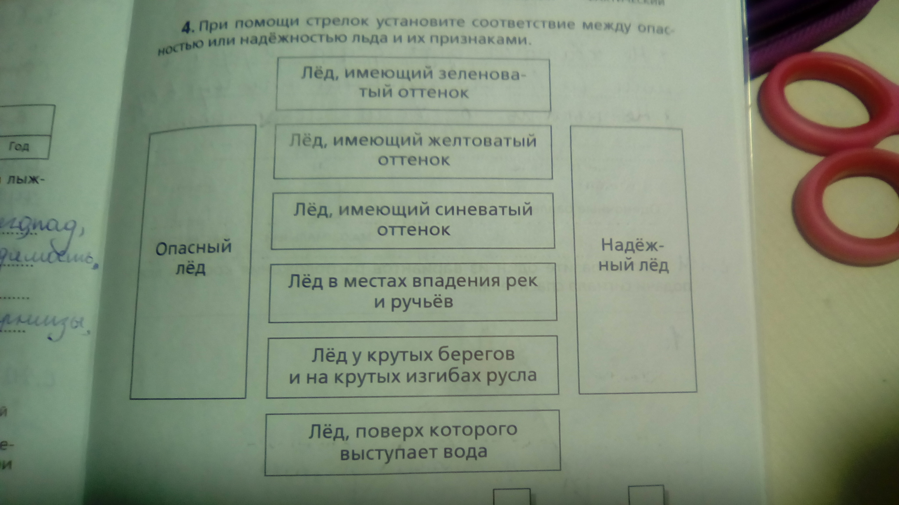 Установите соответствие окружающий мир