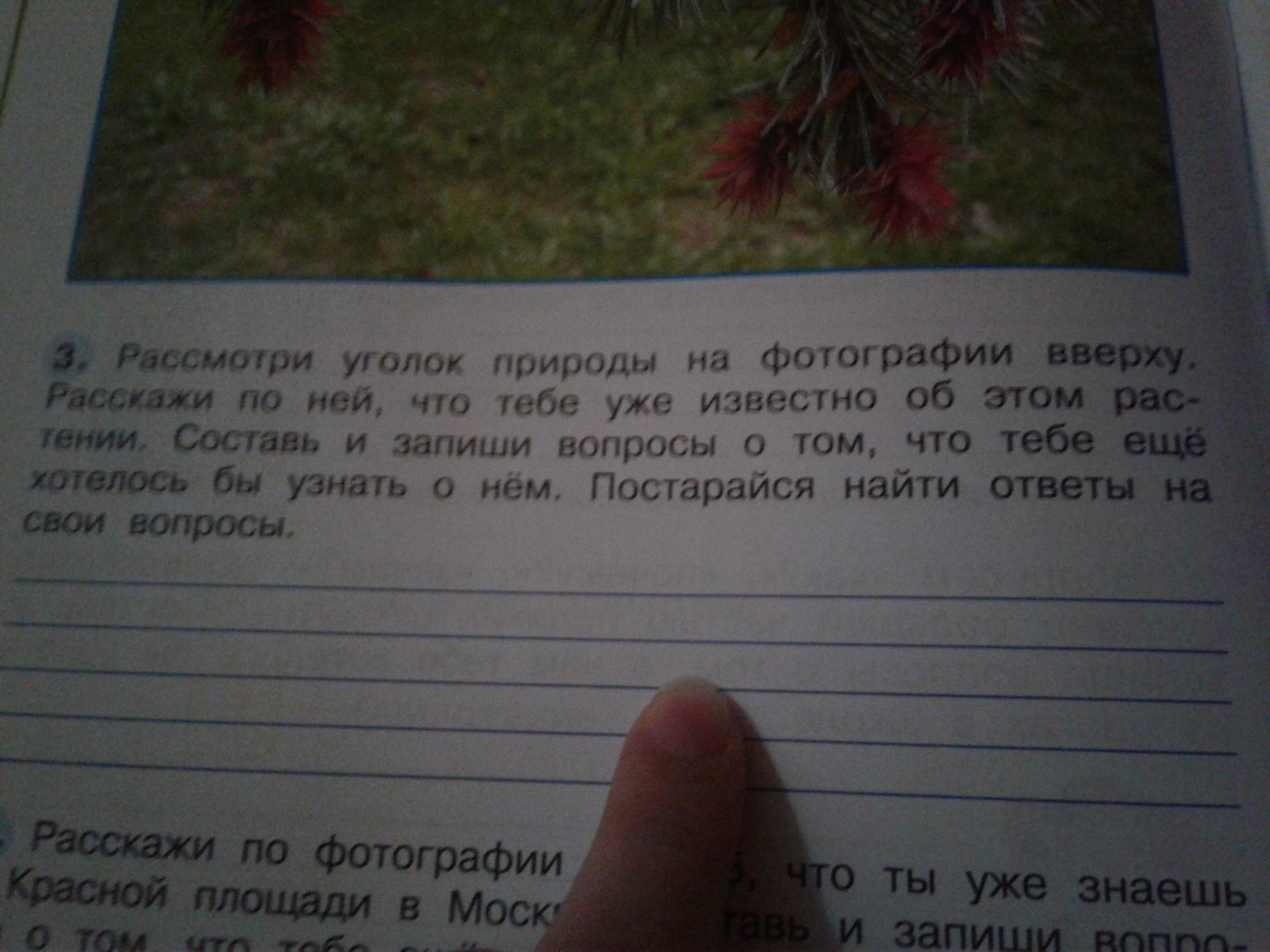 Запиши р. Рассмотри уголок природы на фотографии вверху. Рассмотри уголок природы на фотографии вверху 3 класс окружающий мир. Рассмотри уголок природы на фотографии вверху расскажи. Рассмотри уголок природы на фотографии вверху расскажи по ней 3 класс.