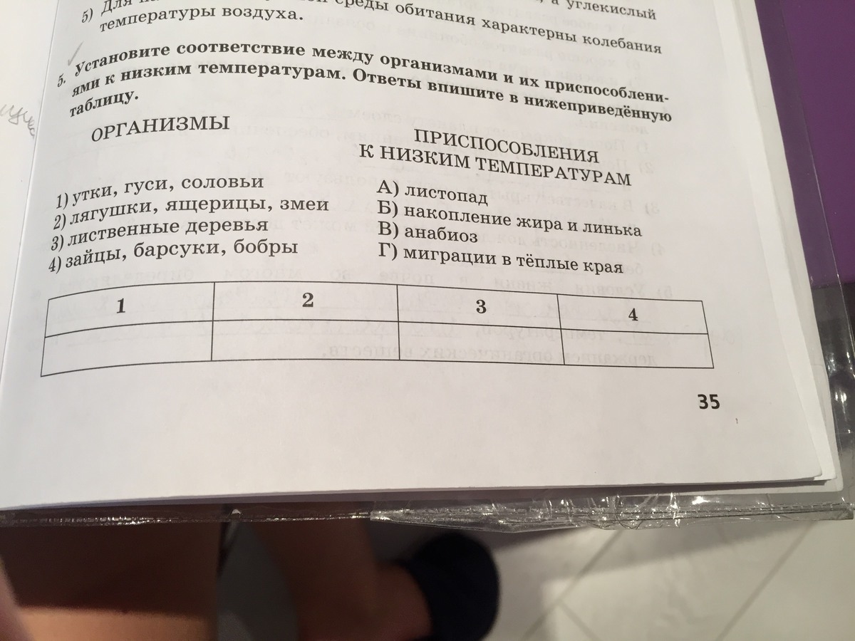 Установите соответствие между характеристиками и организмами. Установите соответствие между организмами растения и их функций. Установите соответствие между органами растения и их функциями. Установите соответствие таблица по биологии 6 класс. Установить соответствие между видами организмов и приспособления.