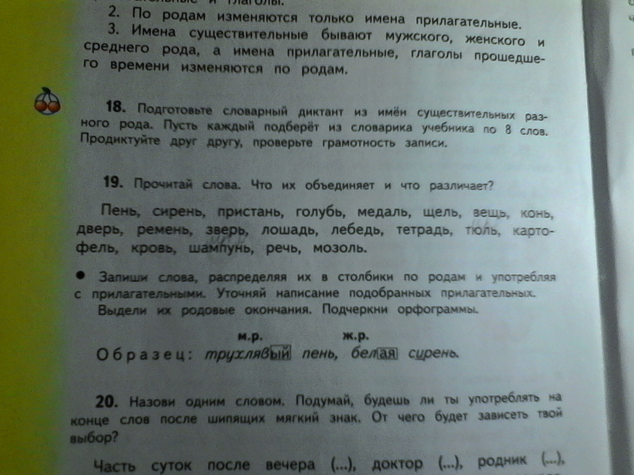 Упр 19 4 класс. Пень сирень Пристань голубь медаль. Род слова пень. Определи род имен существительных степь лебедь ковш рабочая тетрадь. Гдз русский 4 кл пень.сирень.Пристань.