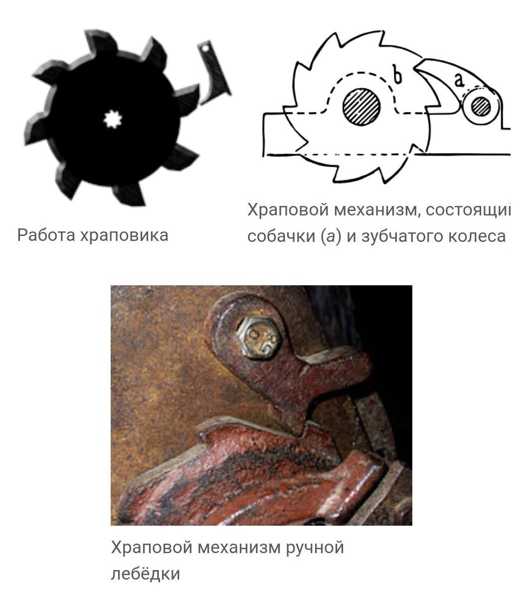 Храповой механизм. Зубчатые храповые механизмы. Двунаправленные храповые механизмы. Схема храпового механизма. Храповое колесо.