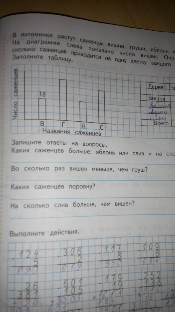 В питомнике растут саженцы вишни груши яблони и сливы на диаграмме