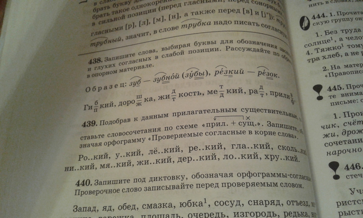 Дер кий ответ. Упр. 438. 5 Класс упр 438. Русский язык 5 класс 2 часть упр 438. Русс яз 5 класс упр 438.