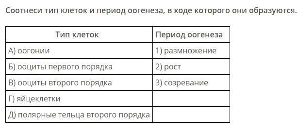 Соотнесите виды. Соотнеси Тип клеток и период оогенеза в ходе которого они образуются. Периоды оогенеза и типы клеток. Соотнеси Тип клеток и период оогенеза. Тип клетки оогонии период оогенеза.