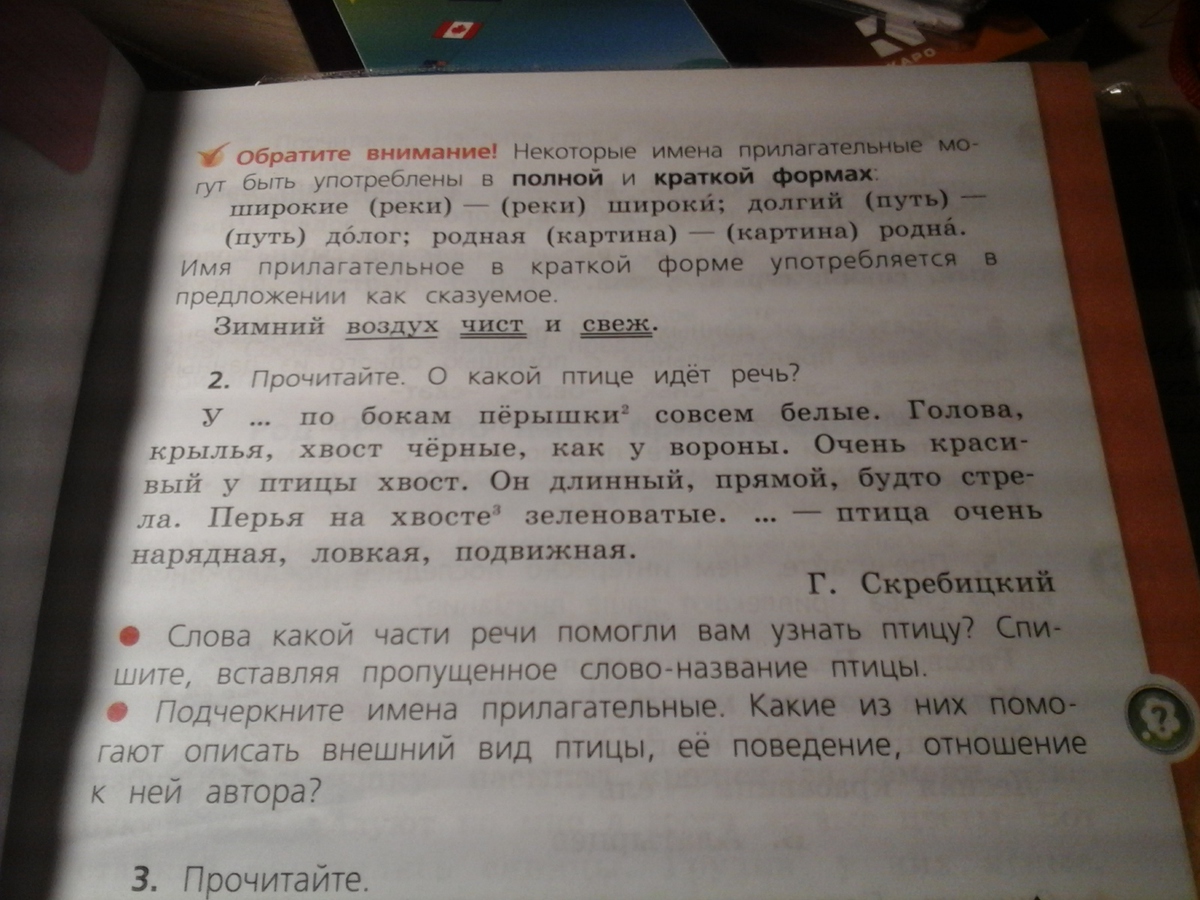 Г скребицкий по бокам перышки совсем белые. Прочитай о какой птице идет речь. Прочитайте о какой птице идет. Прочитайте о какой птице идет речь ответ. Упражнение 2 о какой птице идёт речь.