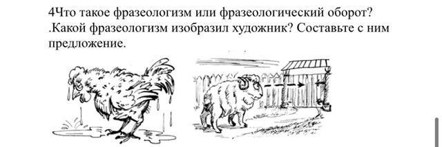 Фразеологизм как баран на ворота. Баран на новые ворота. Мокрая курица предложение. Баран на новые ворота картинки.