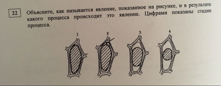 Как изменится изображение на экране если прикрыть половину линзы куском картона